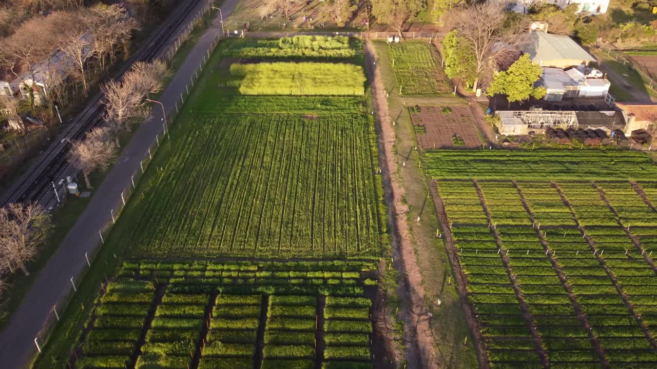 일몰, 부에노스 아이레스 농장의 채소밭을 공전하는 공중 하향식