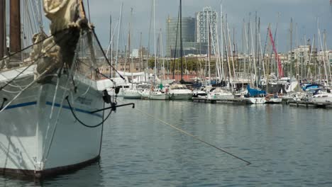 port vell soleado 11