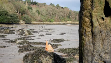 weathered eroded ship mooring stone close up view across bay beach slow dolly right