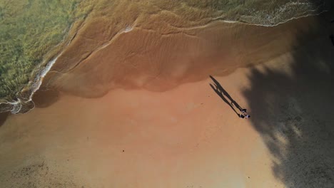 aerial view of baleia beach, sao sebastiao, sao paulo, brazil