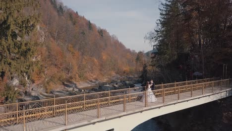 a bride and groom walk across a bridge in a forest