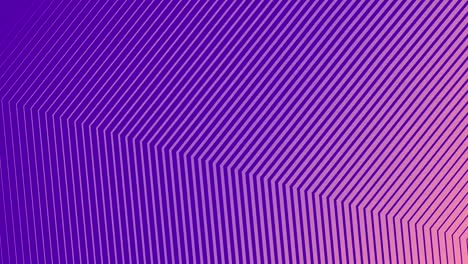 simple y austero fondo corporativo animado hecho de líneas.
