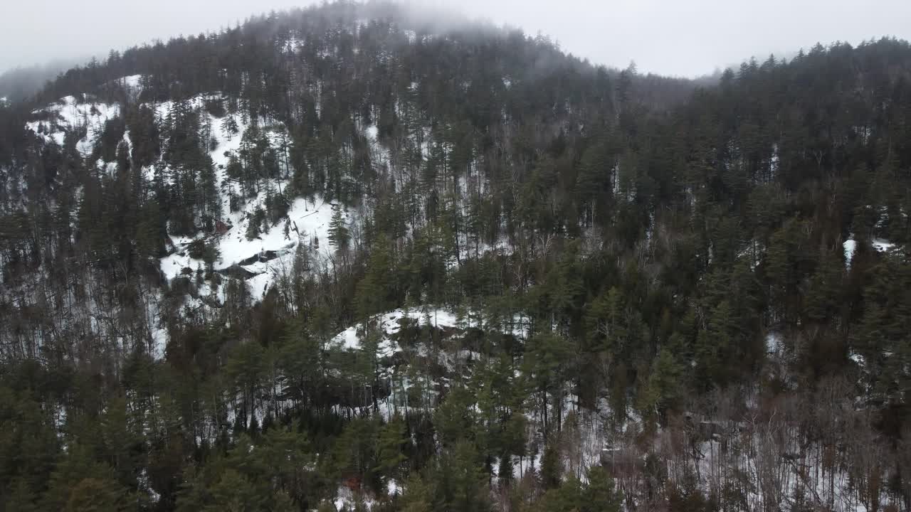 un disparo aéreo de drones de los árboles en una montaña en las adirondacks