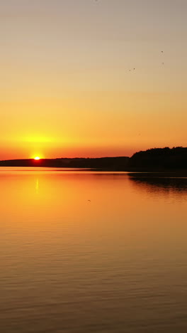 river at the setting sun. beautiful orange sunset over the evening river. birds flying over the water. camera moves back. aerial view. vertical video