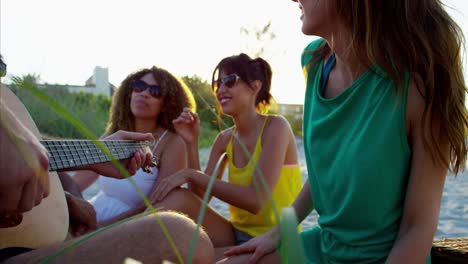 personas multiétnicas disfrutando de una fiesta en la playa con guitarra