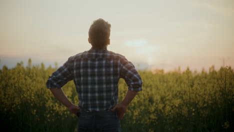 farmer looking at view from farm at sunset