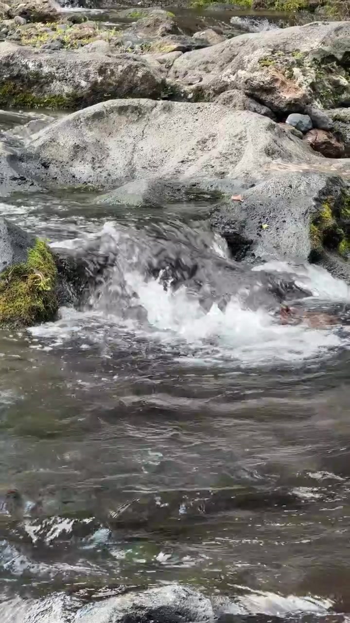 Piccola cascata che scorre su rocce muschiose in un ruscello nel bosco