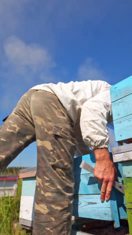 beekeeper works with hives. apiarist puts wooden boxes against blue sky in the apiary. apiculture concept. view from below. vertical video