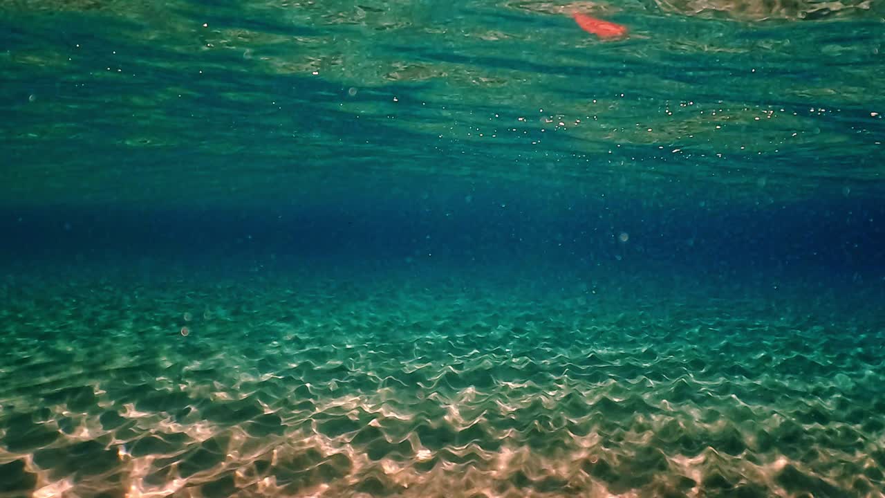 impresionante colorido y multicolor debajo de la superficie del agua escena de agua cristalina del océano y reflejos en el fondo marino con fondo azul