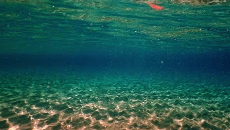 impresionante colorido y multicolor debajo de la superficie del agua escena de agua cristalina del océano y reflejos en el fondo marino con fondo azul
