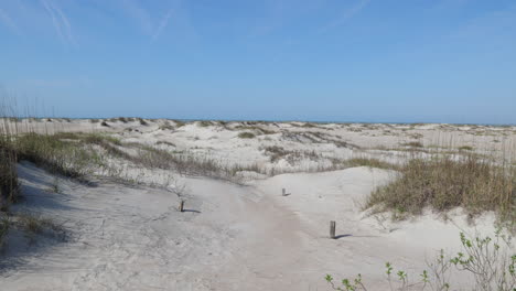 sand dunes with the ocean in the distance