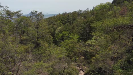 montañas boscosas de los alpes konze, shiga japón