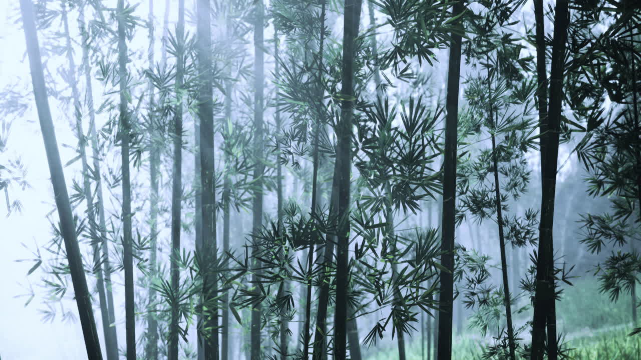 Misty bamboo forest teeming with life at dawn in tranquil natural setting