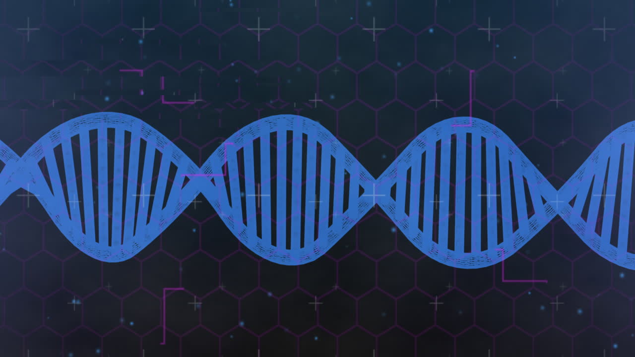 Animation of shapes over dna strand