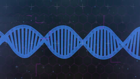 animación de formas sobre la hebra de adn