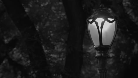 Alte-Mode-Vintage-Licht-Nachtzeit-Im-Park