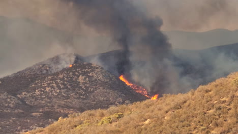 dark smoke billows over red hot forest fire, wildfire