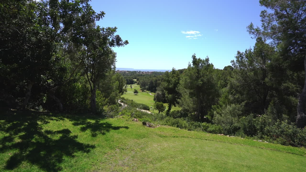 desaliñado golf bosque prado campos mallorca españa