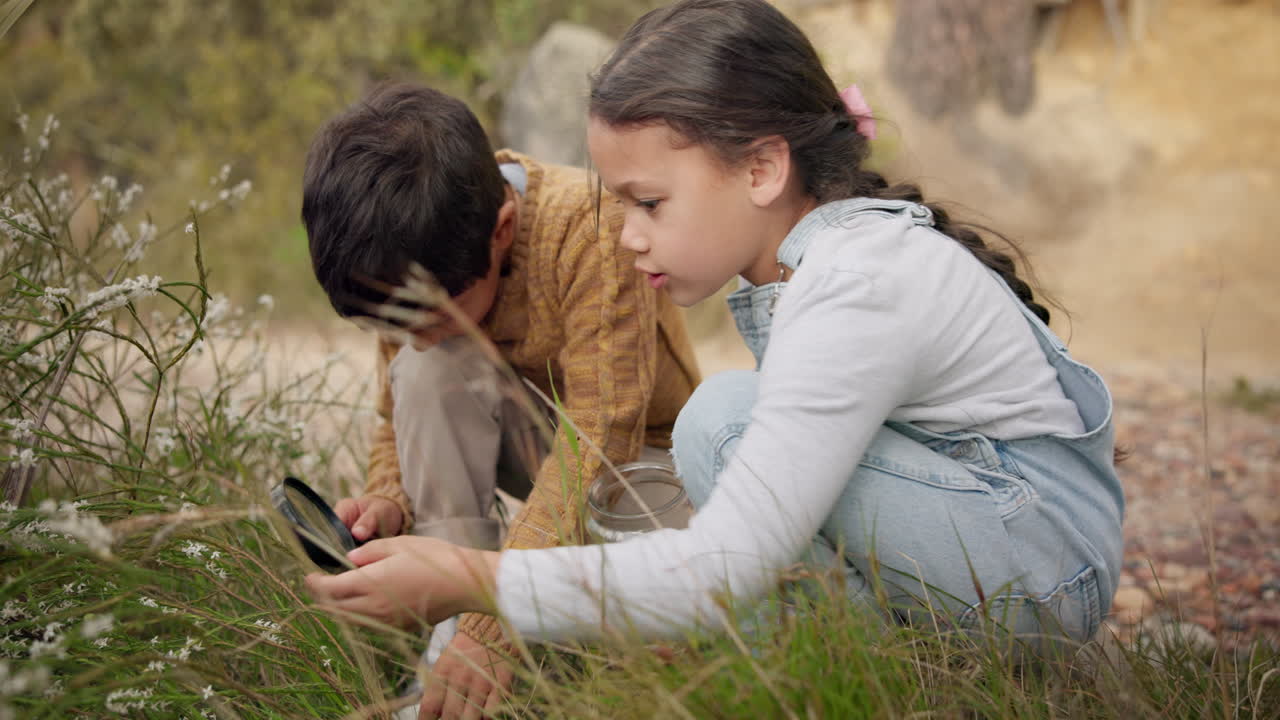 어드벤처, 보기 유리