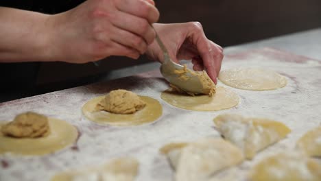 chef making dumplings