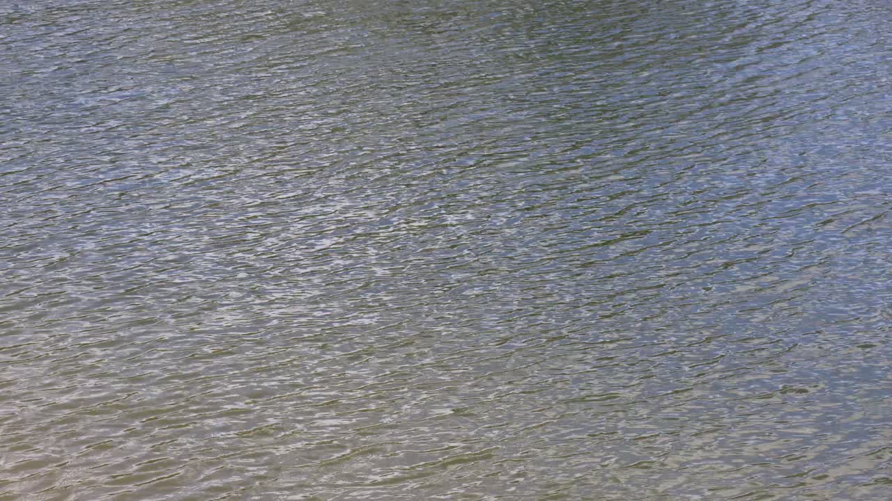 파동하는 물에 대한 빛 패턴의 시간 간격