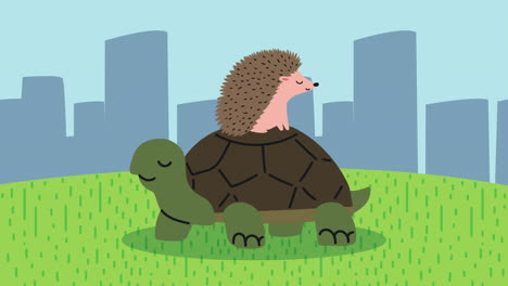 personajes de animación de tortugas y purcopinas