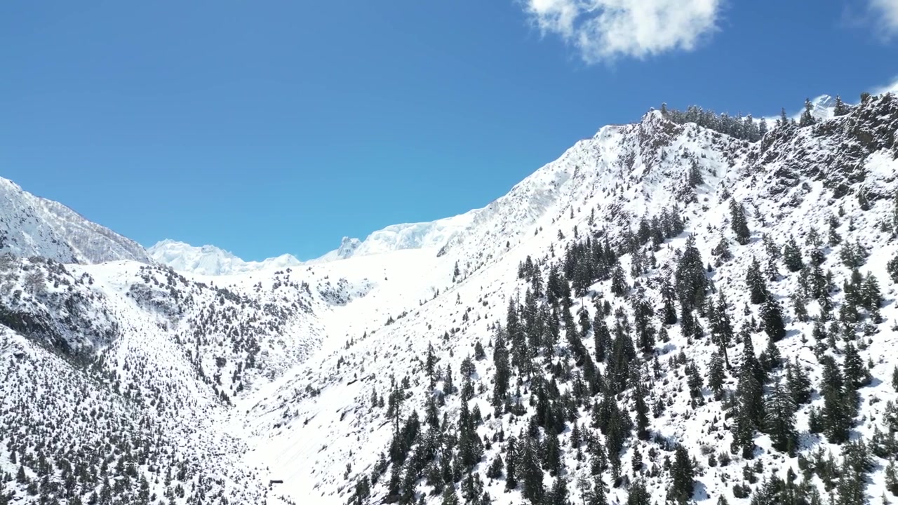 Penerbangan Drone Meluncur di Atas Lidah Gletser yang Membeku dan Puncak Bersalju Menjulang Tinggi Gunung Rakaposhi, Pakistan