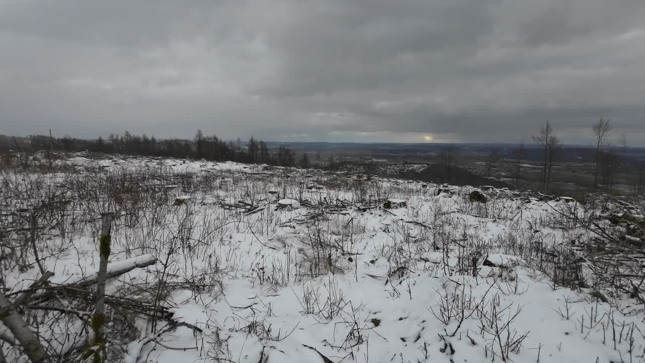 Panoramica su un bosco invernale della Turingia in condizioni devastanti con molti alberi morti