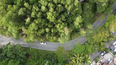 4K-drone-footage-with-trees,-above-a-street-with-minimal-cars-passing-by-at-sunset-in-Malaysia