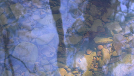 reflection of trees and the sky on the surface of a slow moving creek