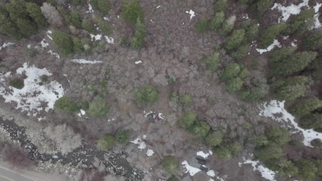 a campsite within a forest