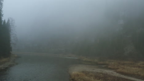 misty river in a forest