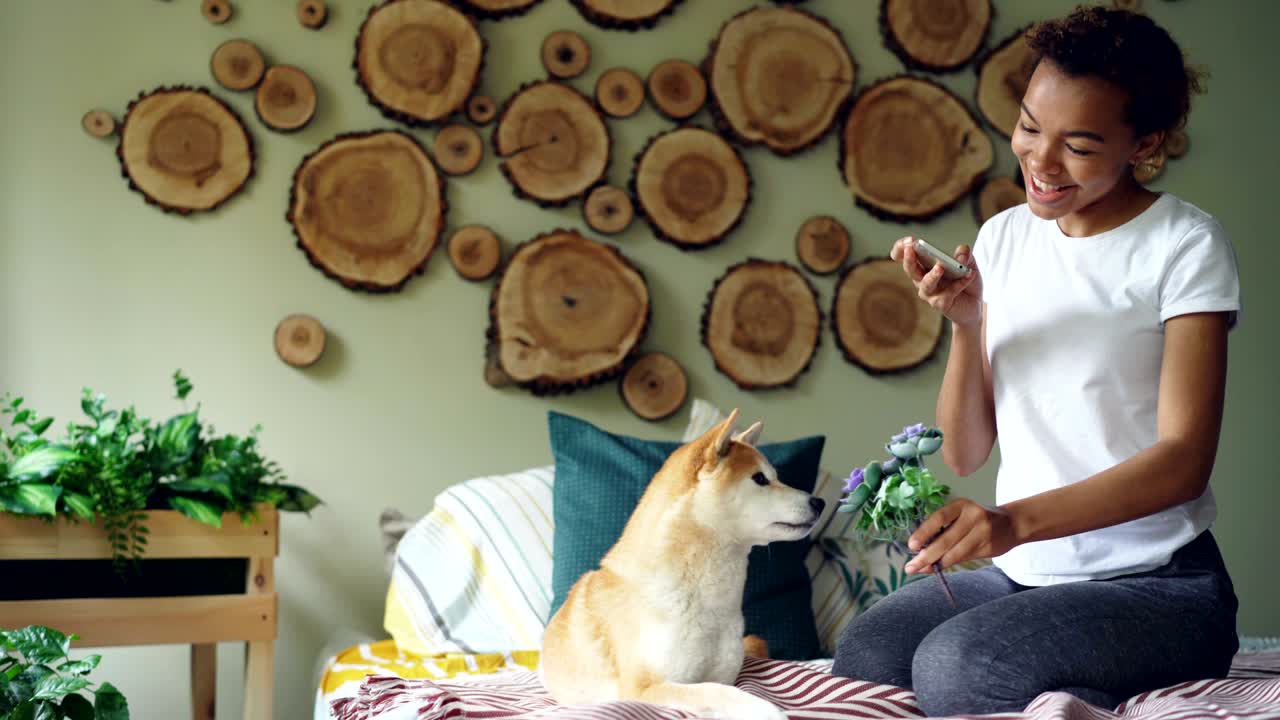 Una donna attraente e felice proprietaria di un cane sta fotografando il suo animale domestico con fiori sul letto, scattando foto divertenti del cane che annusa e morde i fiori; la ragazza si sta divertendo.