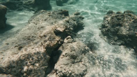 rocky bottom undersea during scuba diving in elafonisi beach, crete, greece. underwater