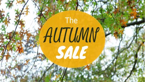 Digitally-generated-video-of-autumn-sale-4k