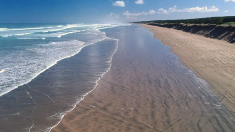 Revealing-drone-shot-of-incoming-waves-on-a-long-beach-with-dunes-on-the-rigth-side