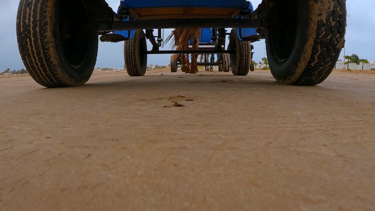 movimiento lento del caballo tirando del carruaje azul a lo largo del desierto