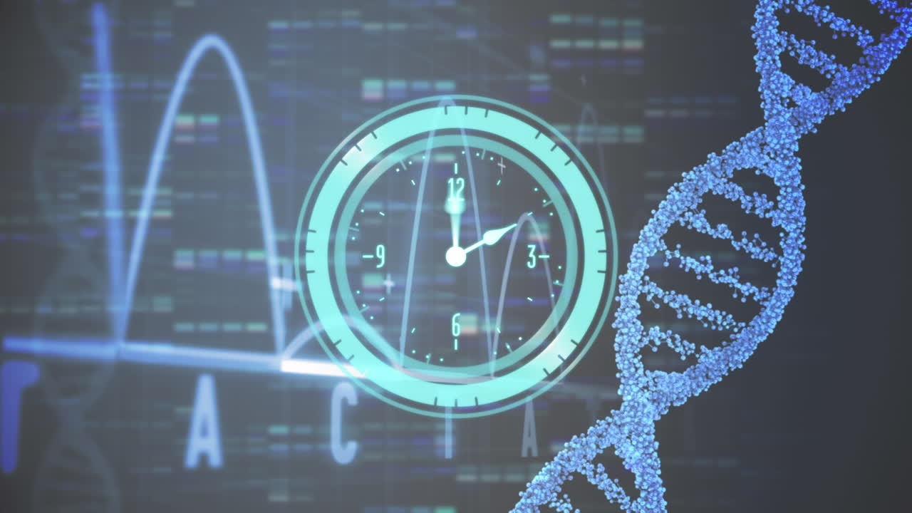 animación del reloj, la cadena de adn y el procesamiento de datos
