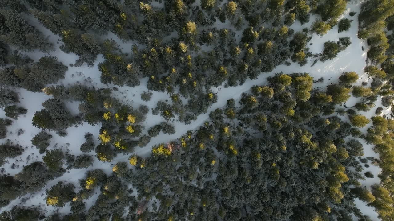 vista de los pájaros del pedestal toma de avión no tripulado de la montaña de vigilancia en golden, colorado