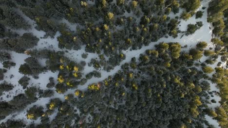 pedestal birds eye view drone shot of lookout mountain in golden, colorado