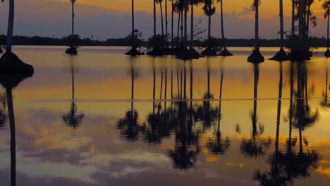 Bei-Einem-Spektakulären-Gelben-Sonnenuntergang-Fliegt-Ein-Schwarzer-Simmer-über-Das-Wasser-Und-Fischt