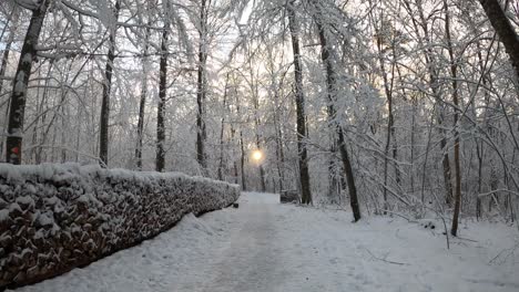 POV-strolling-through-winter-wonderland-forest-with-snow-covered-firewood-during-winter-in-Bavaria,-Germany