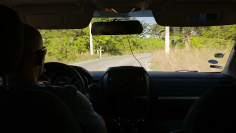 timelapse of driving a car on road with a lot of green trees around