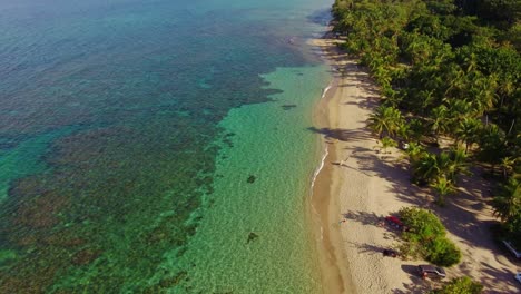 punta uva beach with characteristic coral, costa rica