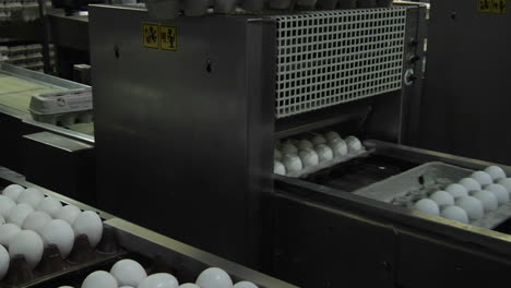 automated machinery closes carton lids on eggs in a factory