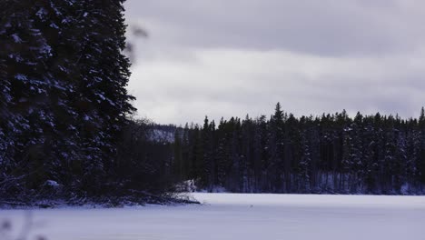 Frozen-lake-sorrounded-by-snow-covered-trees