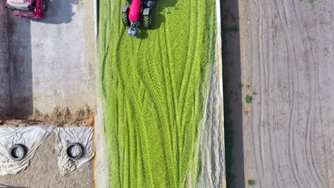 tractor making silage for animals