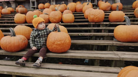Happy-kid-sits-on-a-bench-among-rows-of-pumpkins.-Autumn-fair-in-honor-of-Halloween