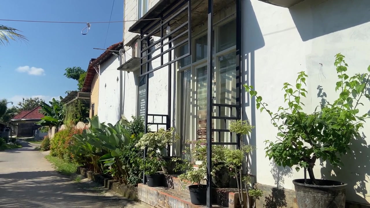 Hvit bygningsfasade med potteplanter i en solrik boliggate