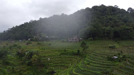 cafetería de bambú con vistas a las terrazas de cultivos verdes en un día lluvioso en sideman, isla de bali